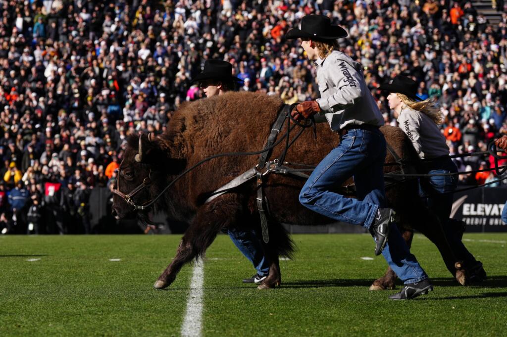 NCAA Football Oklahoma State at Colorado - EasySportz