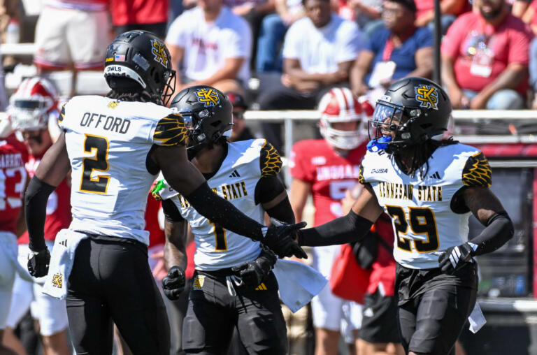 - Kennesaw State Owls. 