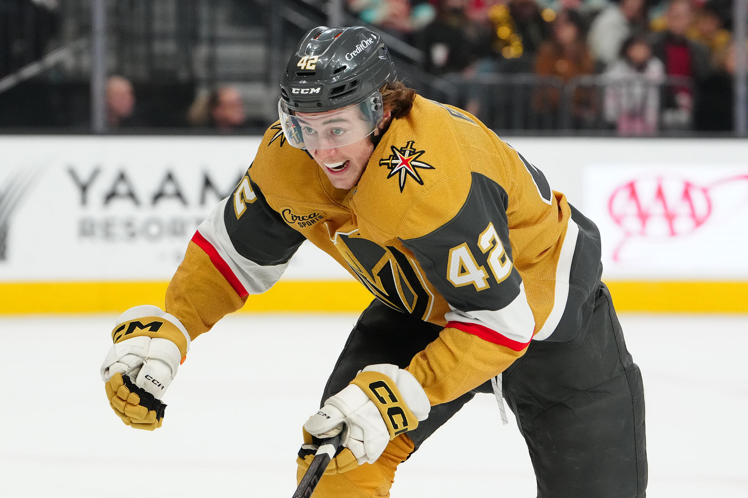 Nhl Seattle Kraken at Vegas Golden Knights - Easysportz - Vegas.