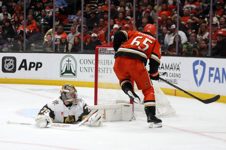 - Ducks.