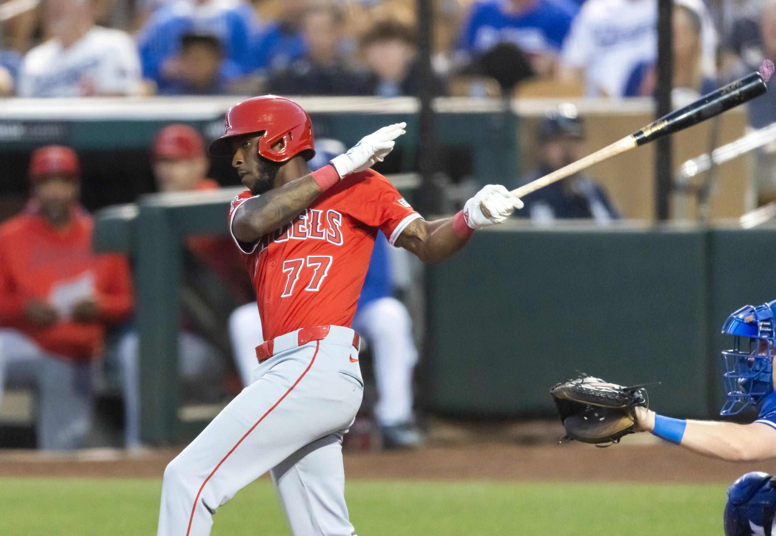 Mlb Spring Training-los Angeles Angels at Los Angeles Dodgers - Easysportz -